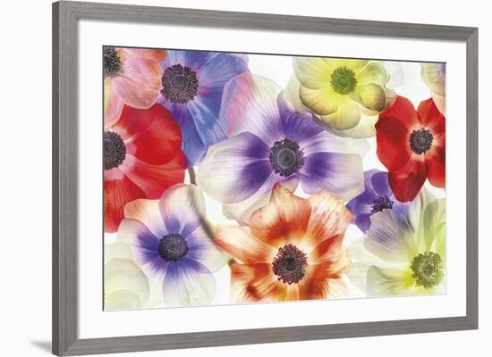 Vibrance II-Harold Davis-Framed Giclee Print