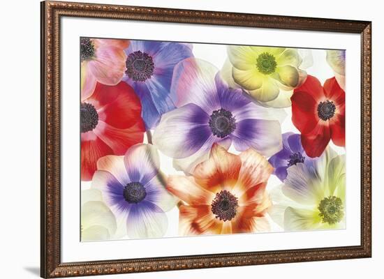 Vibrance II-Harold Davis-Framed Giclee Print