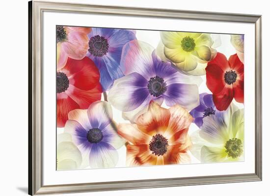 Vibrance II-Harold Davis-Framed Giclee Print