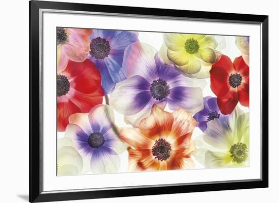 Vibrance II-Harold Davis-Framed Giclee Print