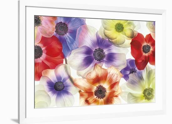 Vibrance II-Harold Davis-Framed Giclee Print