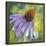 Vibrance-Annelein Beukenkamp-Framed Stretched Canvas