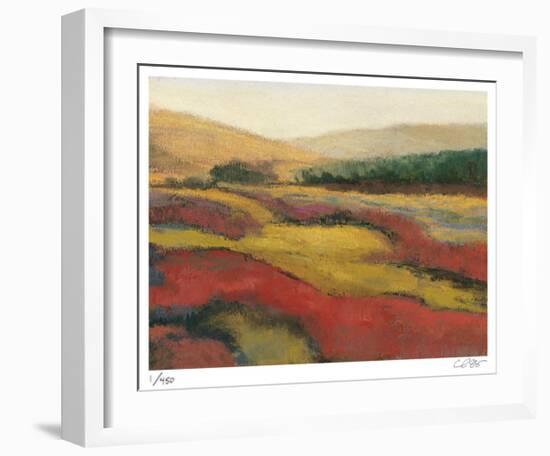 Vibrant Afternoon-Carl Stieger-Framed Limited Edition