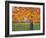 Vibrant Autumn-J Charles-Framed Art Print