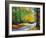 Vibrant Autumn-Graham Gercken-Framed Art Print