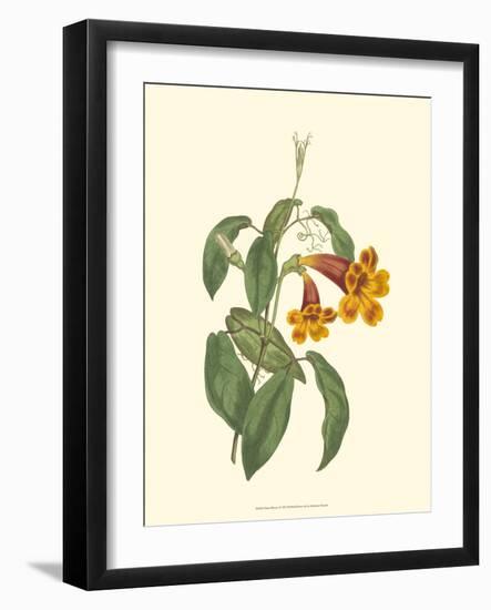 Vibrant Blooms I-Sydenham Teast Edwards-Framed Art Print