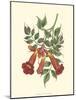 Vibrant Blooms II-Sydenham Teast Edwards-Mounted Art Print