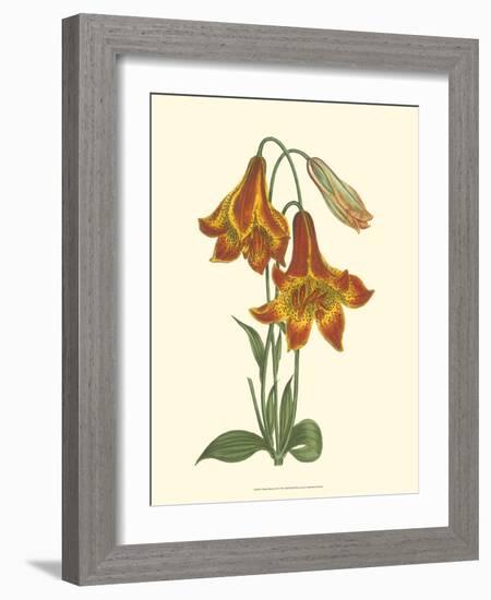 Vibrant Blooms III-Sydenham Teast Edwards-Framed Art Print