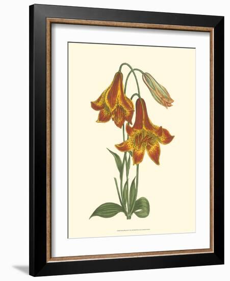 Vibrant Blooms III-Sydenham Teast Edwards-Framed Art Print