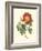 Vibrant Blooms IV-Sydenham Teast Edwards-Framed Art Print