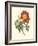 Vibrant Blooms IV-Sydenham Teast Edwards-Framed Art Print