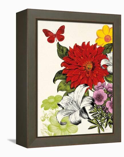 Vibrant Blossoms-Devon Ross-Framed Stretched Canvas