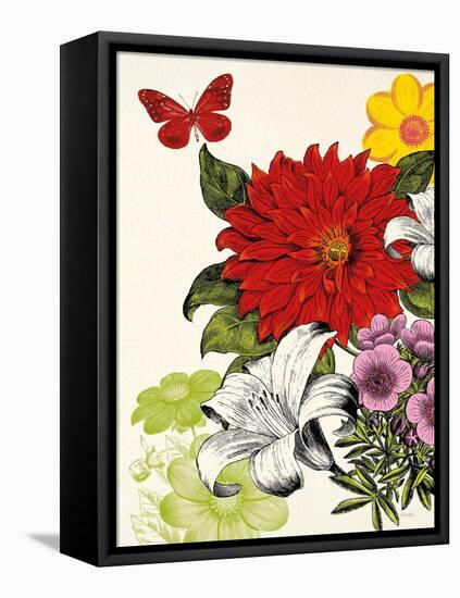 Vibrant Blossoms-Devon Ross-Framed Stretched Canvas