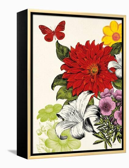 Vibrant Blossoms-Devon Ross-Framed Stretched Canvas