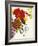 Vibrant Bouquet-Devon Ross-Framed Art Print