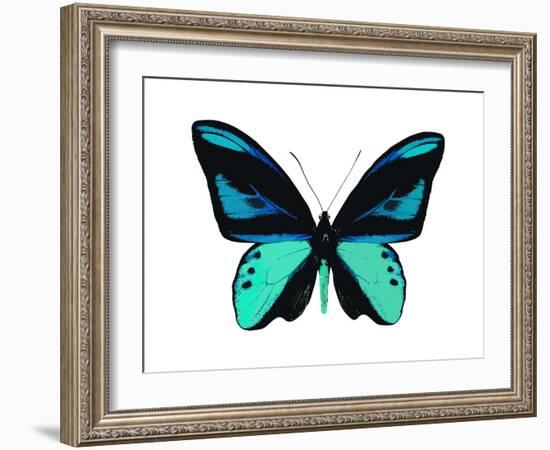 Vibrant Butterfly I-Julia Bosco-Framed Art Print