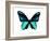 Vibrant Butterfly I-Julia Bosco-Framed Art Print