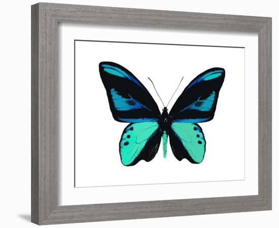 Vibrant Butterfly I-Julia Bosco-Framed Art Print