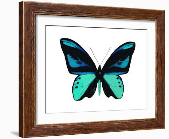 Vibrant Butterfly I-Julia Bosco-Framed Art Print