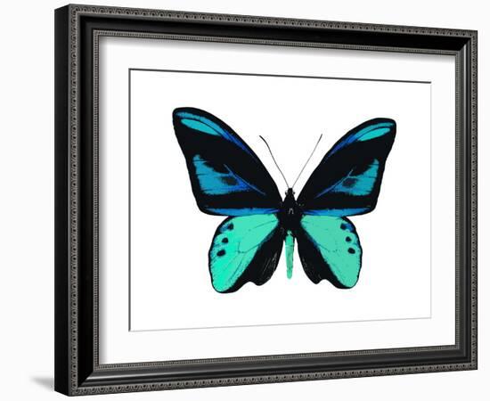 Vibrant Butterfly I-Julia Bosco-Framed Art Print