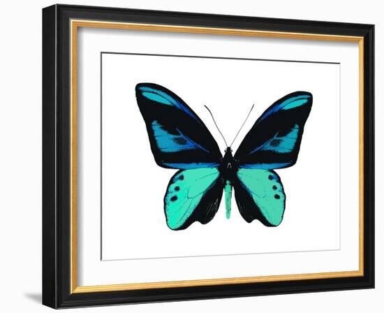 Vibrant Butterfly I-Julia Bosco-Framed Art Print