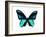 Vibrant Butterfly I-Julia Bosco-Framed Art Print