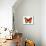 Vibrant Butterfly VI-Julia Bosco-Mounted Art Print displayed on a wall