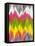 Vibrant Crests II-Hugo Edwins-Framed Stretched Canvas