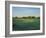 Vibrant Field I-Sydney Edmunds-Framed Giclee Print