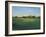 Vibrant Field I-Sydney Edmunds-Framed Giclee Print