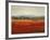 Vibrant Field II-Sydney Edmunds-Framed Giclee Print