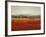 Vibrant Field II-Sydney Edmunds-Framed Giclee Print