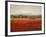 Vibrant Field II-Sydney Edmunds-Framed Giclee Print