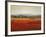 Vibrant Field II-Sydney Edmunds-Framed Giclee Print