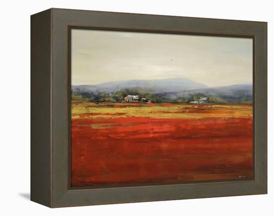 Vibrant Field II-Sydney Edmunds-Framed Premier Image Canvas