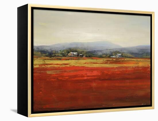 Vibrant Field II-Sydney Edmunds-Framed Premier Image Canvas