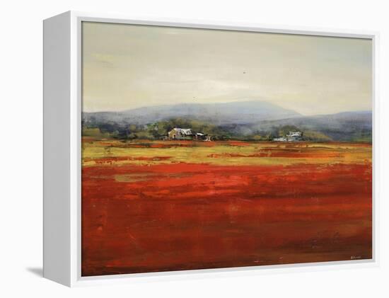 Vibrant Field II-Sydney Edmunds-Framed Premier Image Canvas