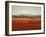 Vibrant Field II-Sydney Edmunds-Framed Giclee Print