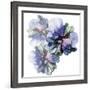 Vibrant Floral Trio-Emma Catherine Debs-Framed Art Print