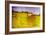 Vibrant Illustration of Pastoral Scene-nagib-Framed Art Print