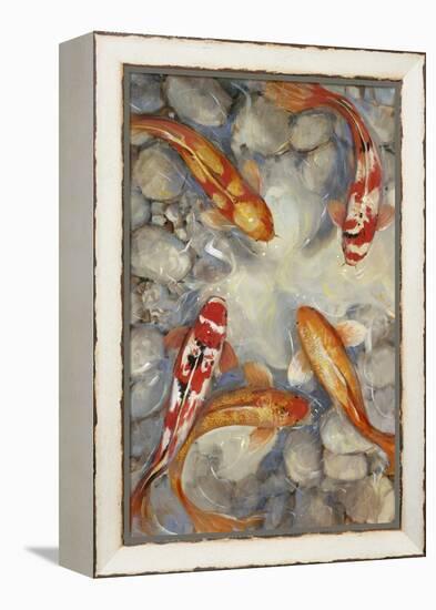 Vibrant Koi I-Tim O'toole-Framed Stretched Canvas