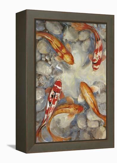 Vibrant Koi I-Tim O'toole-Framed Stretched Canvas