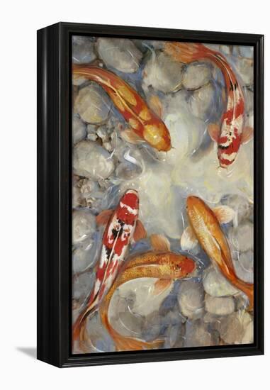 Vibrant Koi I-Tim O'toole-Framed Stretched Canvas