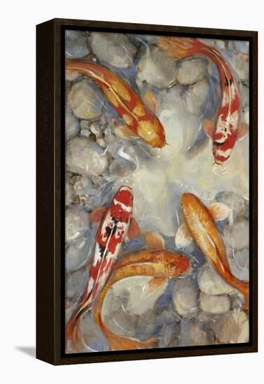 Vibrant Koi I-Tim O'toole-Framed Stretched Canvas