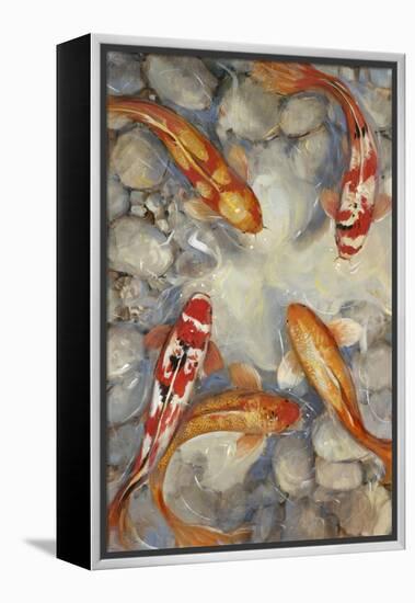 Vibrant Koi I-Tim O'toole-Framed Stretched Canvas