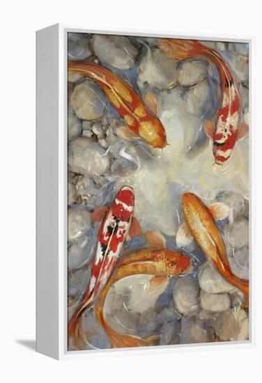 Vibrant Koi I-Tim O'toole-Framed Stretched Canvas