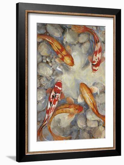 Vibrant Koi I-Tim O'toole-Framed Art Print