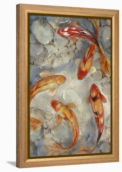 Vibrant Koi II-Tim O'toole-Framed Stretched Canvas