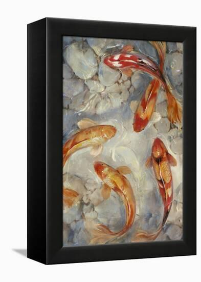 Vibrant Koi II-Tim O'toole-Framed Stretched Canvas