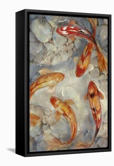 Vibrant Koi II-Tim O'toole-Framed Stretched Canvas